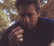 Mulder in 'Sporen'